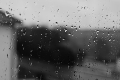 We standard_4447207761_l.jpg